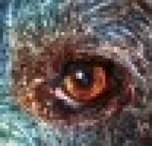 Taller de Arte y Formación Plástica Dèjá Vú